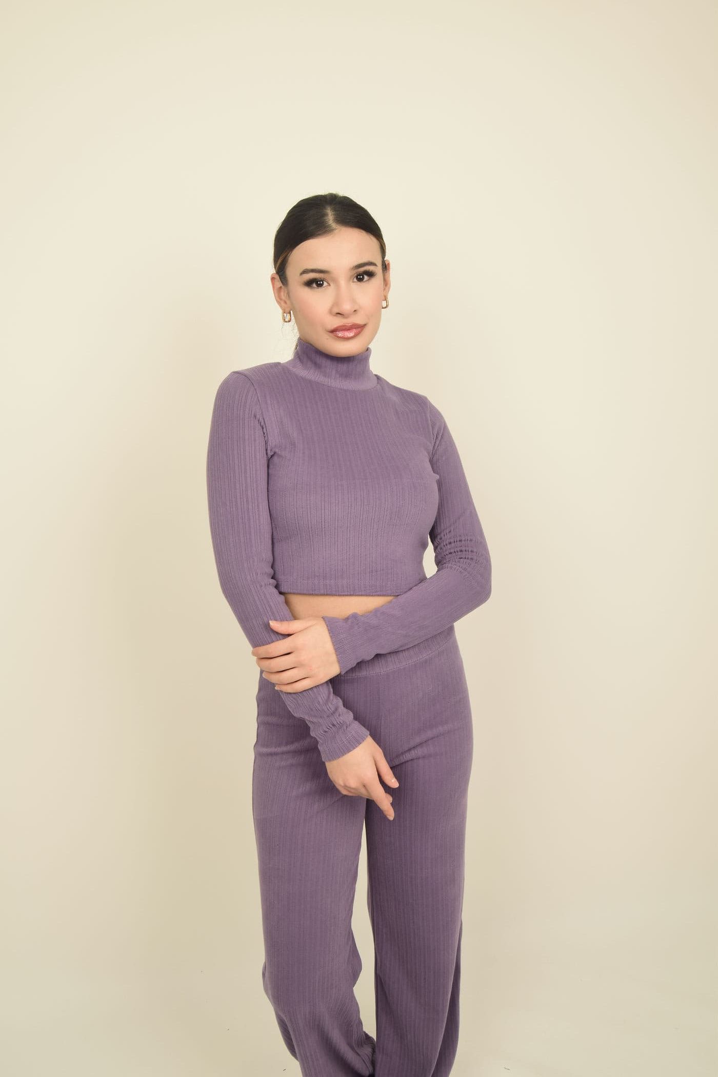 Lila Yumuşak Dokulu Kadife Uzun Kollu Dik Yakalı Crop Body Görsel 5